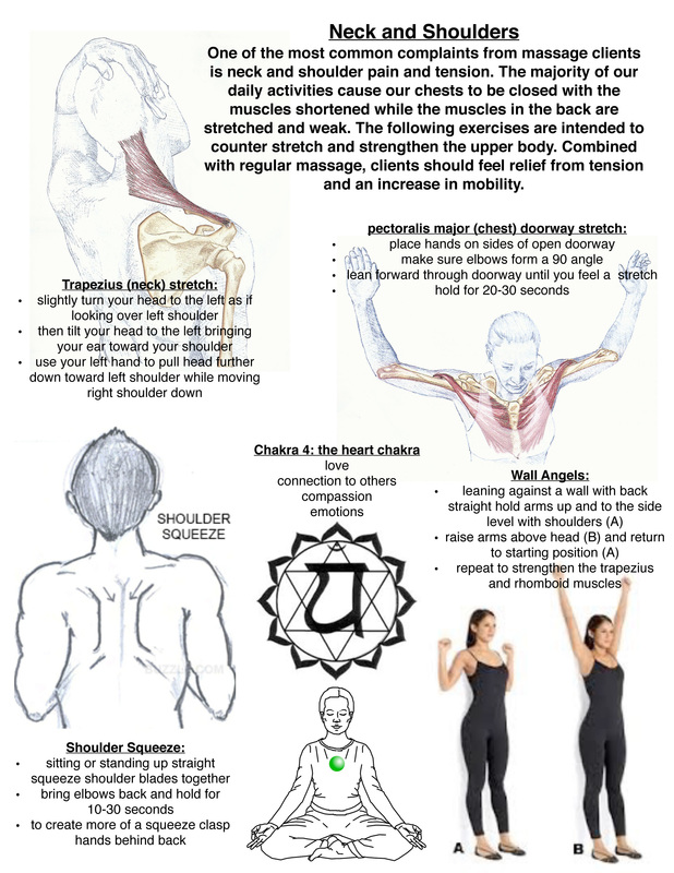 Exercises And Stretches For The Upper And Lower Back Wonderland